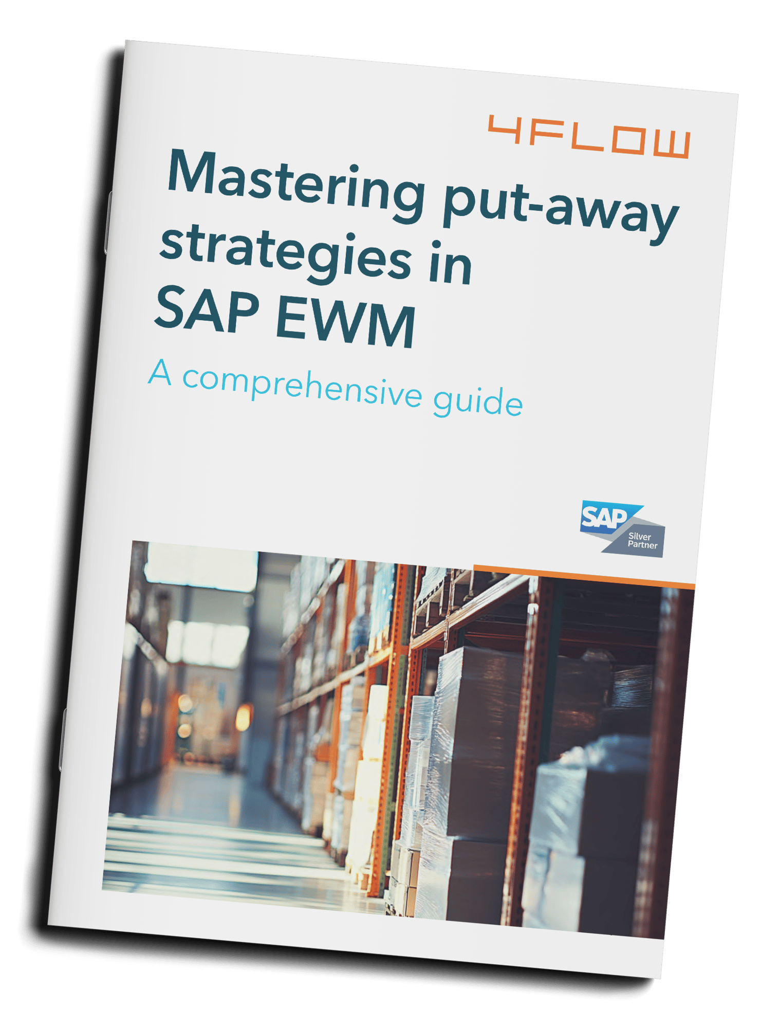 mastering_sap_mockup