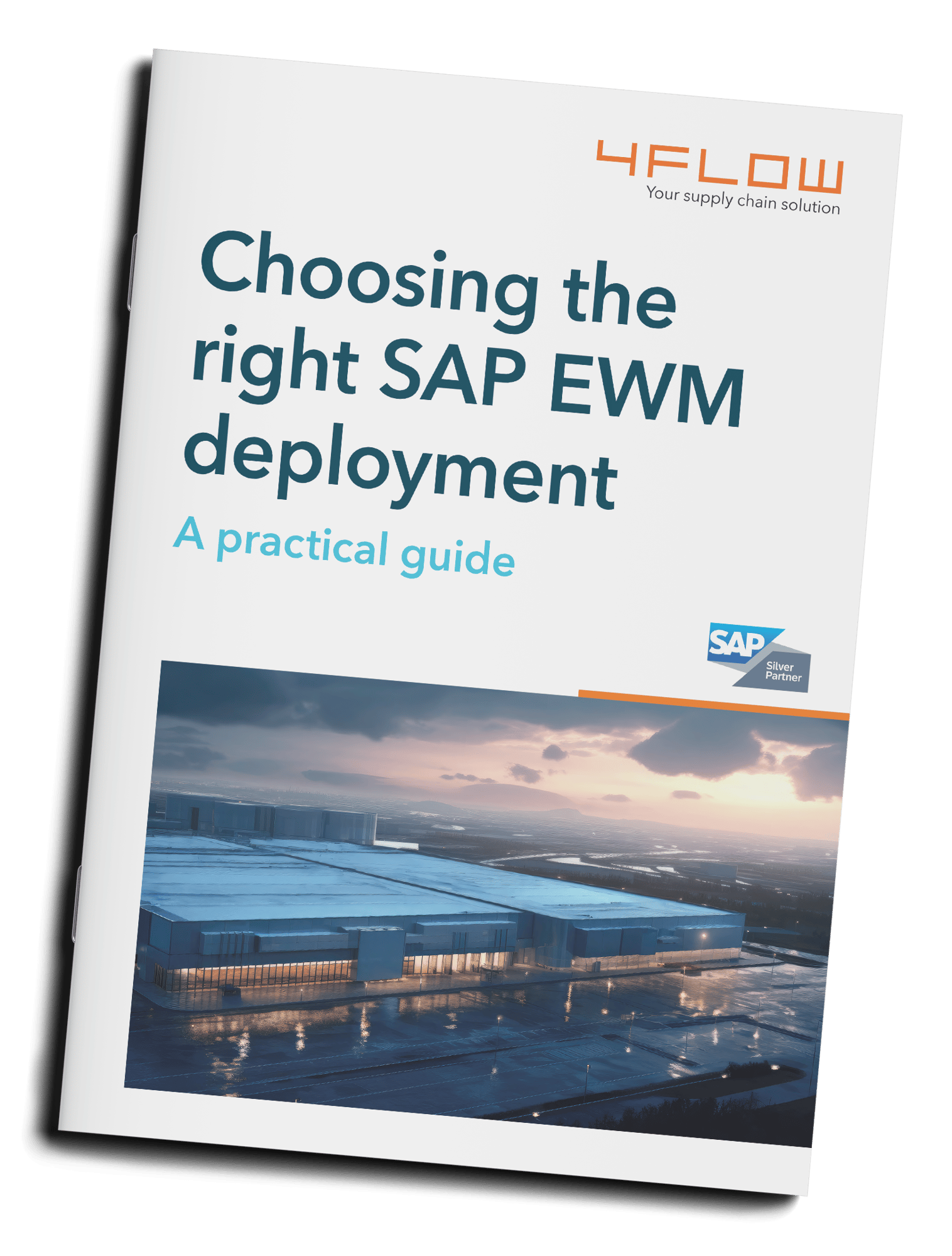 sap_ewm_mockup