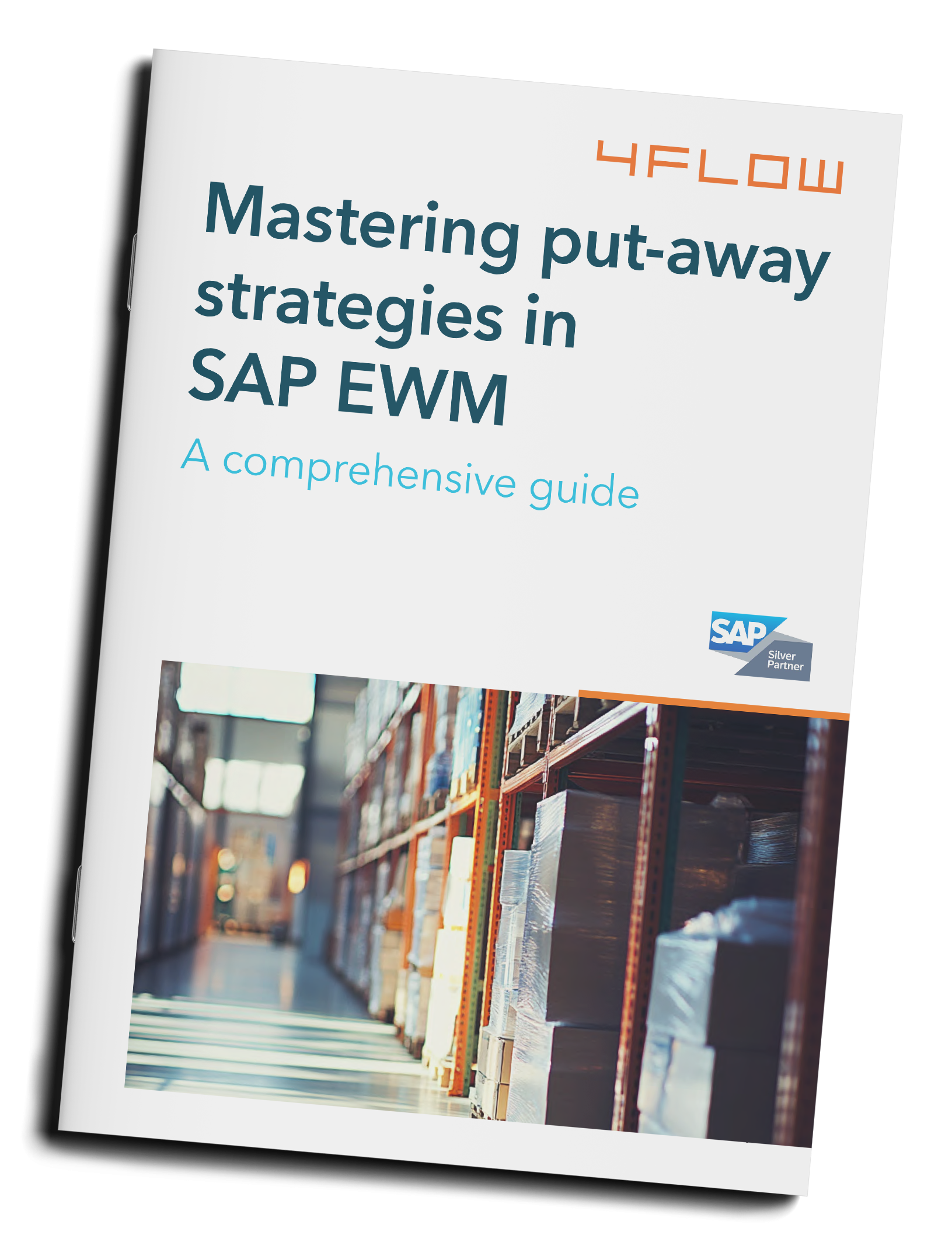 mastering_sap_mockup